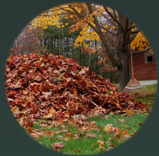 fall and spring cleanup