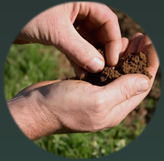 soil analysis